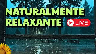 🔴A CHUVA cria uma SENSAÇÃO Natural de RELAXAMENTO🌧️💤