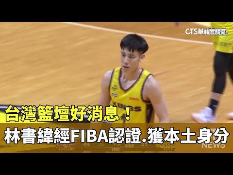 台灣籃壇好消息！　林書緯經FIBA認證　獲本土身分