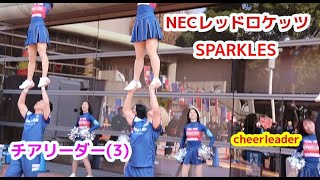 NECレッドロケッツ SPARKLES チアリーダー(3)