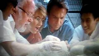 Jurassic Park - Egg Hatching Scene.avi