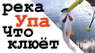 Рыбалка тулы и тульской области