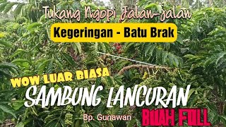 Download lagu WOW, THIS IS AMAZING, THE FULL FRUIT COFFEE || Traveling Coffee Shopper mp3