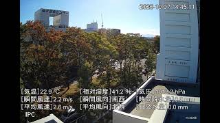 仙台測器社 のライブ配信 卸商センター前交差点付近