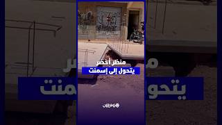 منظر أخضر يتحول إلى إسمنت.. سكان سيدي عثمان يستنكرون اختفاء أشجار معمّرة من المنطقة thumbnail