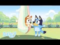 Poor Little Bug | Butterflies | Bluey