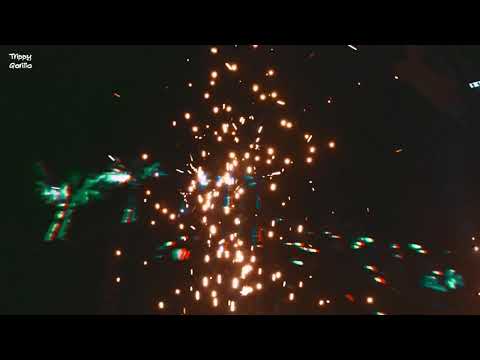 Club Papaya - Croatia - 2019