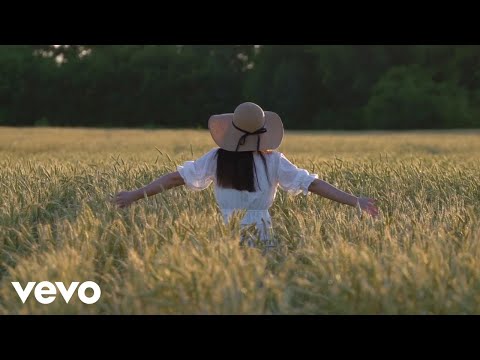 Željko Lončarić Žec - Neće Snaša Tamburaša