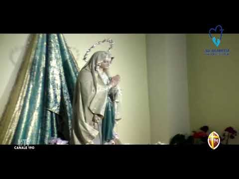 Shalom TV – Festival dei giovani Medjugorje 2019