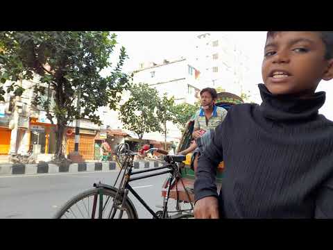 look at the puppies in a beautiful way