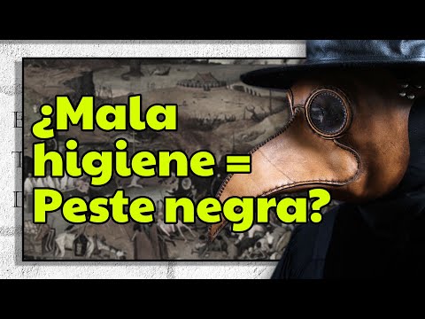 La relación de la PESTE NEGRA con la (supuesta ) MALA HIGIENE medieval