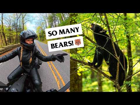 Solo Motorcycle Trip to the Great Smoky Mountains!
