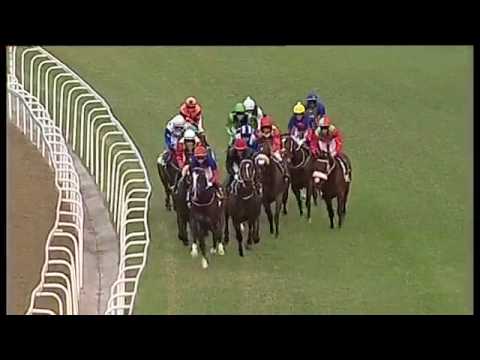 2017.07.30 Premiers Champion Stakes (RSA) - Eyes Wide Open