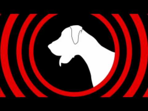 Benton (featuring Fenton) Vs X Factor Christmas Song "Fenton! Jesus Christ!" by The Hoxtons