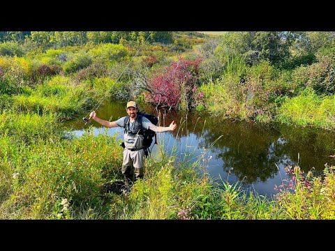 Toxic Fly Fisherman Encounter / Fall Trout Fishing