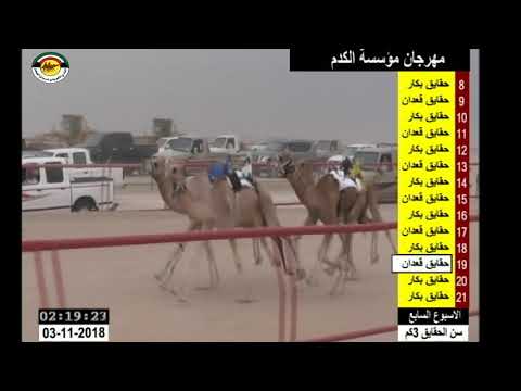 الشوط 19 الاسبوع السابع 3/11/2018