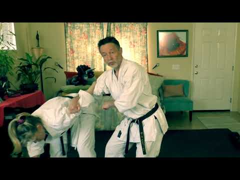 Goju-Ryu's Seipai Kata