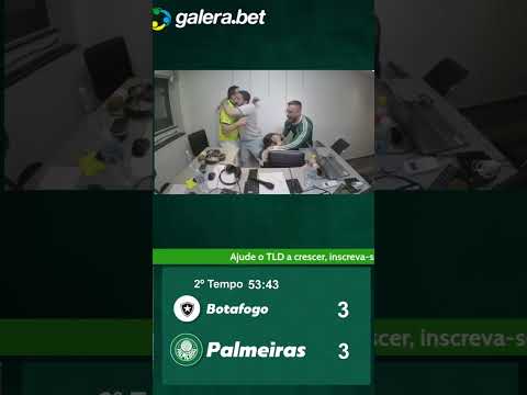 PALMEIRAS COMES BACK TO BOTAFOGO! REACT TO THE COMBINING GOAL