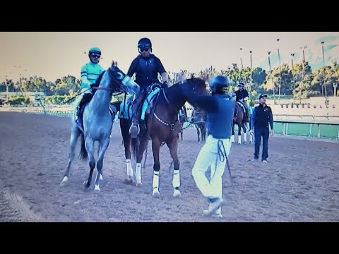 RACE 9 SANTA ANITA USA 11 JAN 2026