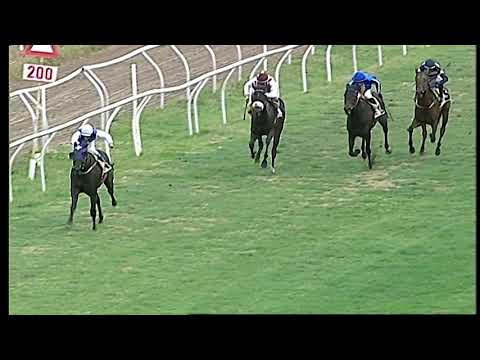 Galoppo 25/01/2021 - 2ª corsa