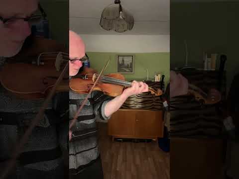 Snad jsem to zavinil já - part 1/2 - housle - samouk