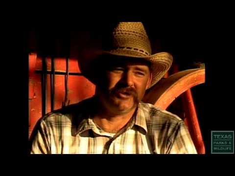 There Will Always Be Cowboys: Life on the Pitchfork Ranch