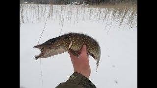Рыбалка на селигере в январе