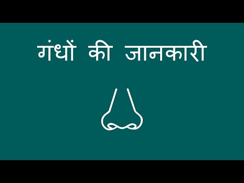 संख्या ढूंढे - Finding Numbers (Hindi)