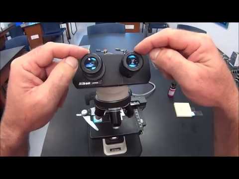 BIOL215 Microbiology Lab 1