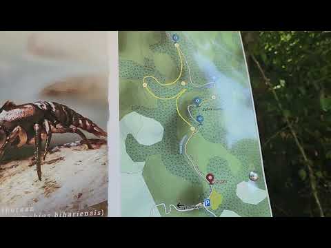 Minunile Apusenilor - Pestera cu Cristale din mina Farcu - Sura Dracilor