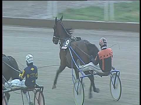 Trotto 16/01/2018 - 2ª corsa