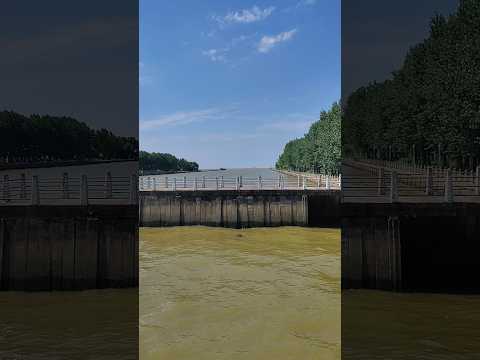 Espigón en Punta Lara Partido de Ensenada Buenos Aires Argentina