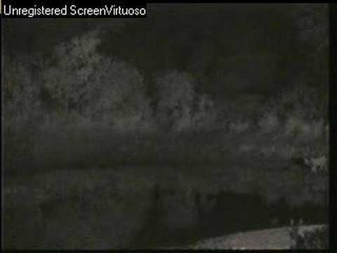 Lion and Roars Djuma 07/03/07 PM