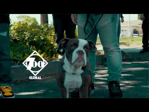 Ice Meez "Wastin No Time" Directed by @KWelchVisuals