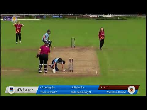 Moment: Dog stops play in All-Ireland T20 Cup match