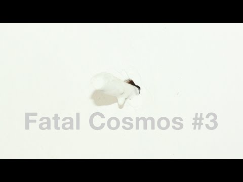 FATAL COSMOS #3 | STOMOXINE rec.