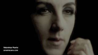 NATURALEZA MUERTA [HD] - Mecano