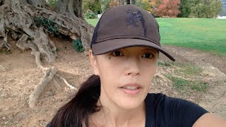 下弦の月になったら、ファスティングがいい。ファスティング初日メニュー