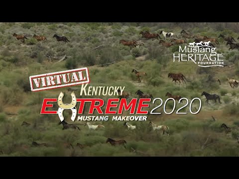 Extreme Mustang Makeover 2020