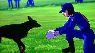 【警察犬の裏側】警察の特殊捜査で活躍する警察犬はどのようにして育てられるのか？  【 警察博物館】 【ペット】