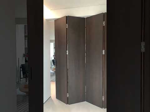 folding door#foldabledoor #china #doortype #folding  #door #homedecor #foshan