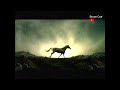 Advert 2003 National Bank NZ Prime TV VHS