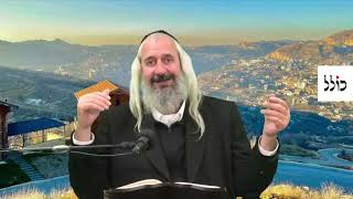הרב ראובן דה לריינה איך לחיות שהכל הולך חלק