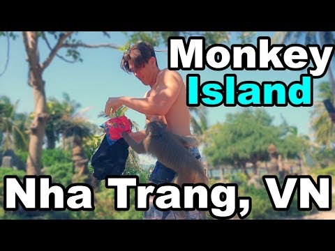 Monkey Island, Nha Trang- Where monkeys might attack you
