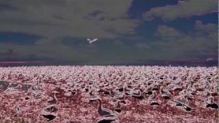 •◘• ICH MAG TIERE •◘•