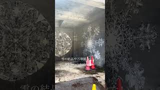 【Vlog】温泉街を駆け抜けるツバメ【福島市】