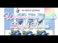 WARDAH PERFECT BRIGHT BERRIES CREAMY FOAM