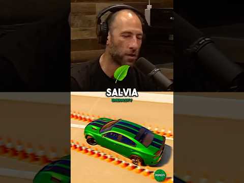 Ari Shaffir Talks About His INSANE Salvia Trip 🤯