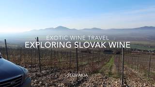 Slovak Wine: Exotic Wine Travel in Slovakia