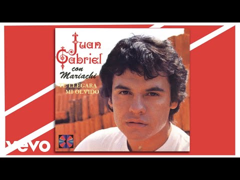 Juan Gabriel - Te Quise Olvidar (Cover Audio)