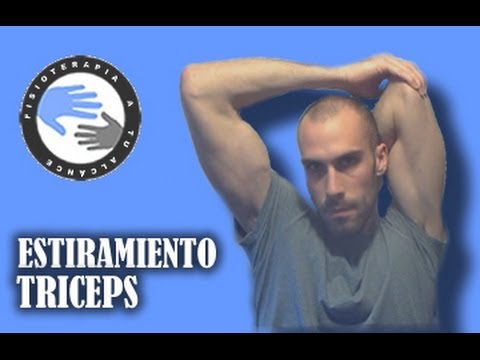 Estiramiento y anatomia del triceps